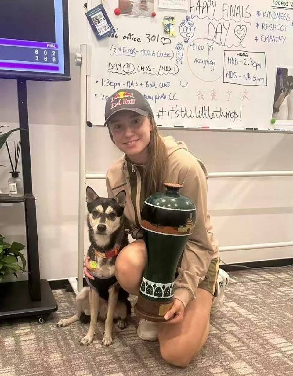 规则的空子与精神的陨落：莱巴金娜退赛折射的职业网球道德困境