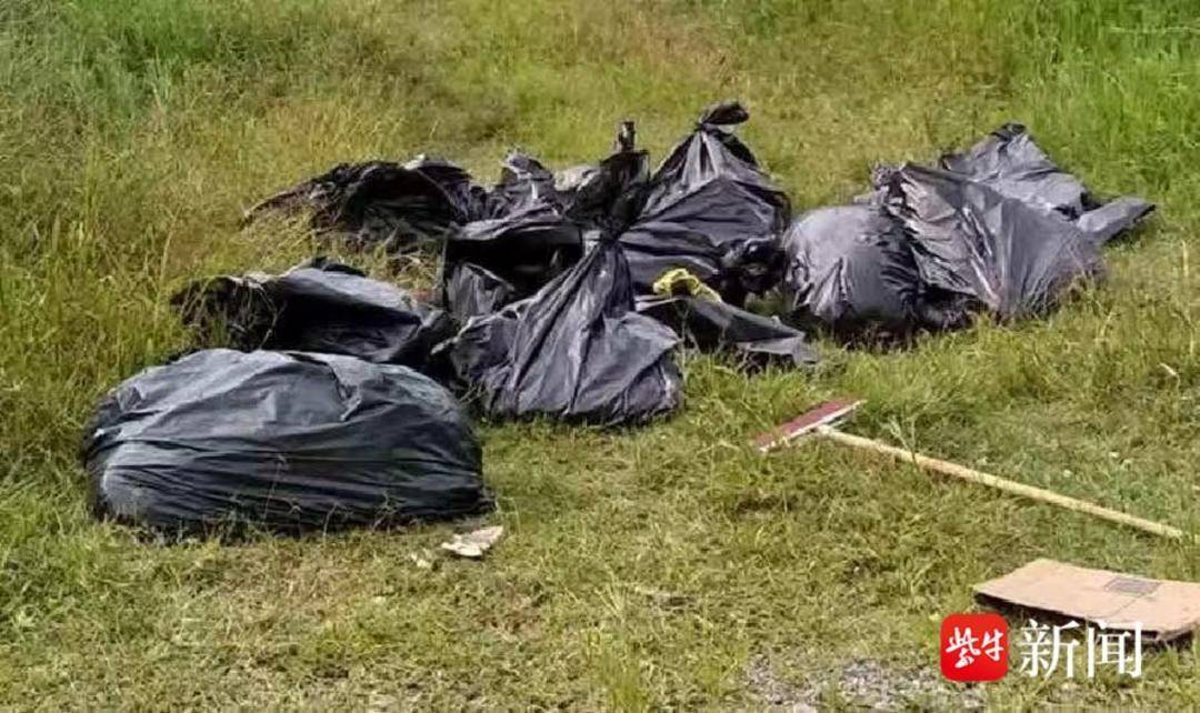 墨西哥世界杯球场附近惊现456袋人体残骸